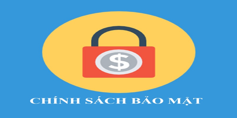 Một số quyền lợi khác